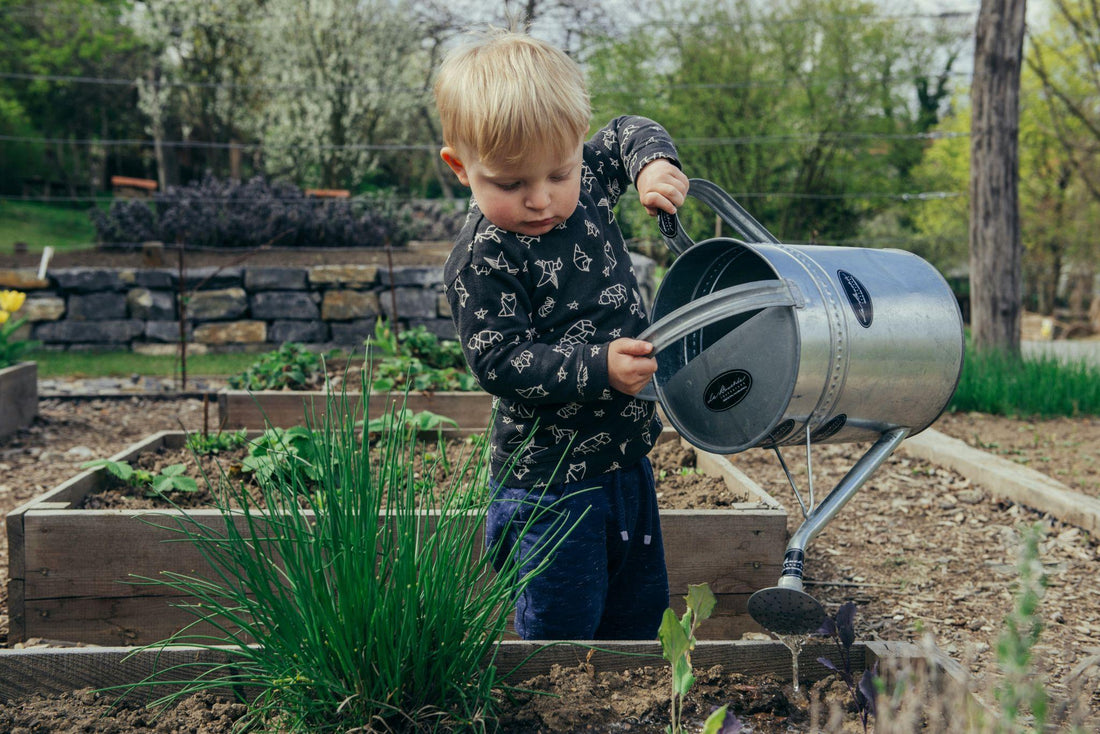 What to Do When Your Seeds Don’t Sprout: Expert Tips