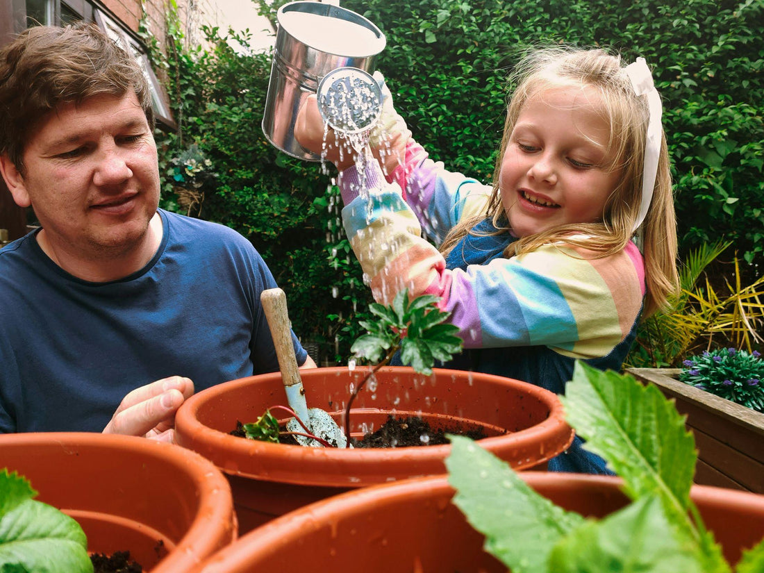 7 Essential Herb Seeds Every Home Gardener Should Grow