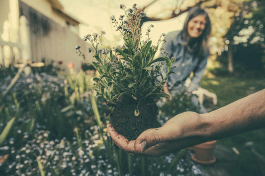 Gardening in the Rain