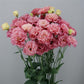 Cut Flower Seeds Lisianthus Seeds Celeb 1 Rouge 25 Pelleted Seeds