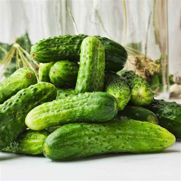 25 Petipikel Cucumber Seeds Pickling Cucumber