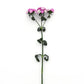 25 Pelleted Dianthus Seeds Amazon ™ Lavender Magic