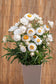 100 Strawflower Seeds Helichrysum King Size Silvery White