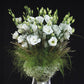 Cut Flower Seeds Lisianthus Seeds Arena 3 Mont Blanc 25 Pelleted Seeds