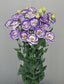 Cut Flower Seeds Lisianthus Seeds Arosa Blue Picotee 25 Pelleted Seeds