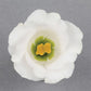 25 Pelleted Lisianthus Seeds Lisianthus Solo Pure White