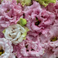 Cut Flower Seeds 25 Pelleted Lisianthus Seeds Voyage 2 Pink