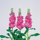 50 Stock Seeds Matthiola Iron Rose Cut Flower Seeds