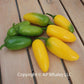 50 Hot Pepper Seeds Pepper Spice Lemon