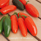 50 Hot Pepper Seeds Pepper Spice Orange