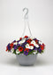 Petunia Seeds E3 Easy Wave® Red White Blue Mix 25 Pelleted Seeds