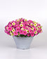 Petunia Seeds E3 Easy Wave® Sweet Taffy Mix 100 Pelleted Seeds