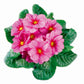 50 Primrose Seeds Primula Hethor Mid Spring Sun Pink