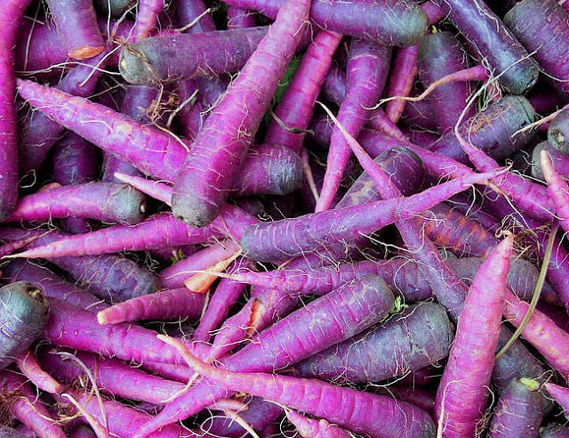 Cosmic Purple Carrot Seeds Bulk Carrot Seeds 100 thru 2,500 Carrot Seeds