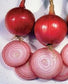 250 Onion Seeds Southport Red Globe
