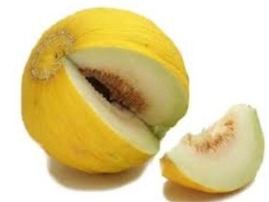 200 Casaba Seeds Golden Beauty Melon Seeds