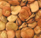 15 Fava Bean Seeds Giant Bean Seeds