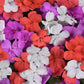 50 Impatiens Seeds Beacon Pearl island Mix Walleriana