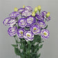 Cut Flower Seeds Lisianthus Seeds A Rosa 3 Blue Picotee 25 Pelleted Seeds