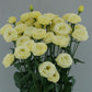 Cut Flower Seeds Lisianthus Seeds Arosa Yellow 25 Pelleted Seeds