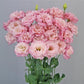 Flower Seeds Lisianthus Seeds Celeb 2 Lovely Pink 25 Pelleted Seeds Cut Flower