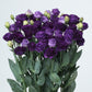 Lisianthus Seeds Doublini Blue 25 Pelleted Seeds Cut Flower Seeds