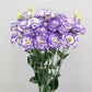 Lisianthus Seeds Megalo Boy 25 Pelleted Seeds Cut Flower Seeds