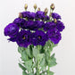 Lisianthus Seeds Megalo Violet 25 Pelleted Seeds Cut Flower Seeds