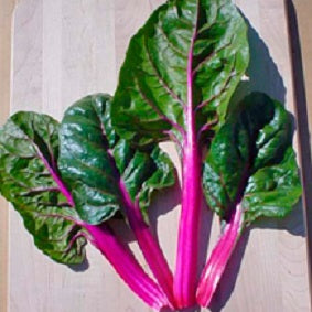 Swiss Chard Seeds Magenta Sunset 200 Garden Seeds