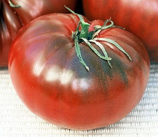 25 Cherokee Chocolate Tomato Seeds Garden Seed