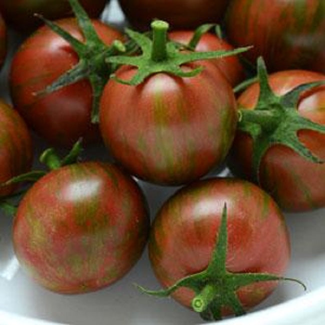 Tomato Seeds 25 Bumble Bee Purple F1 Tomato Cherry Tomato Seeds