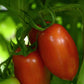 Heirloom Tomato Seeds 25 Seeds Tomato Marriage Marzinera