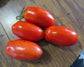 Tomato Seeds La Roma III Hybrid 25 thru 250 Tomato Seeds