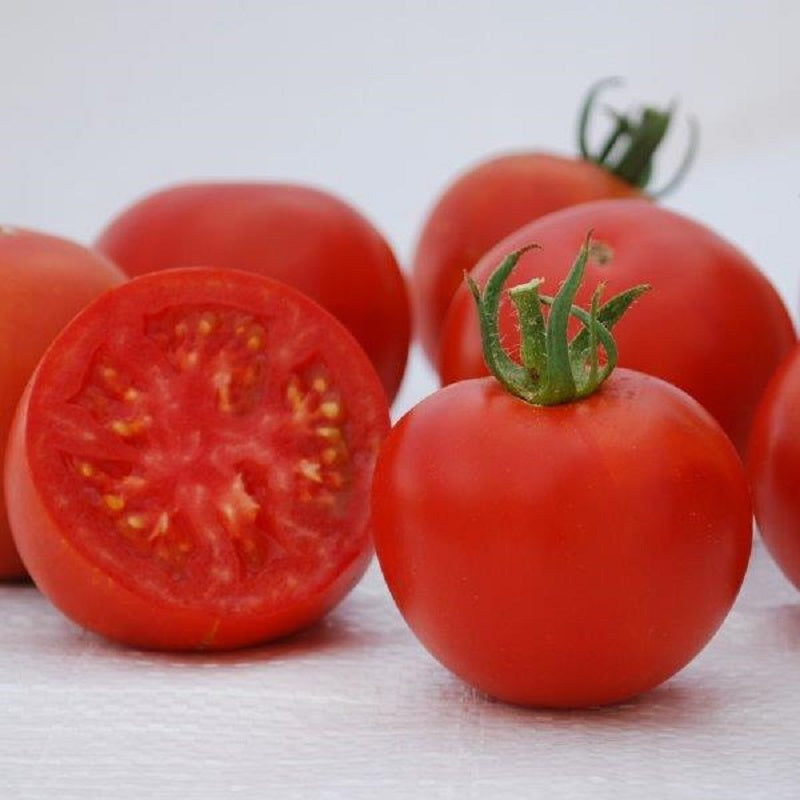 50 Tomato Seeds Manitoba Heirloom Tomato