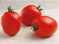 Tomato Seeds Tomato Namib F1 Variety 25 Seeds Small Roma Tomato