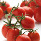 Tomato Seeds 25 Tomato Topsy Tom F1 Cascading Cherry Tomato Seeds