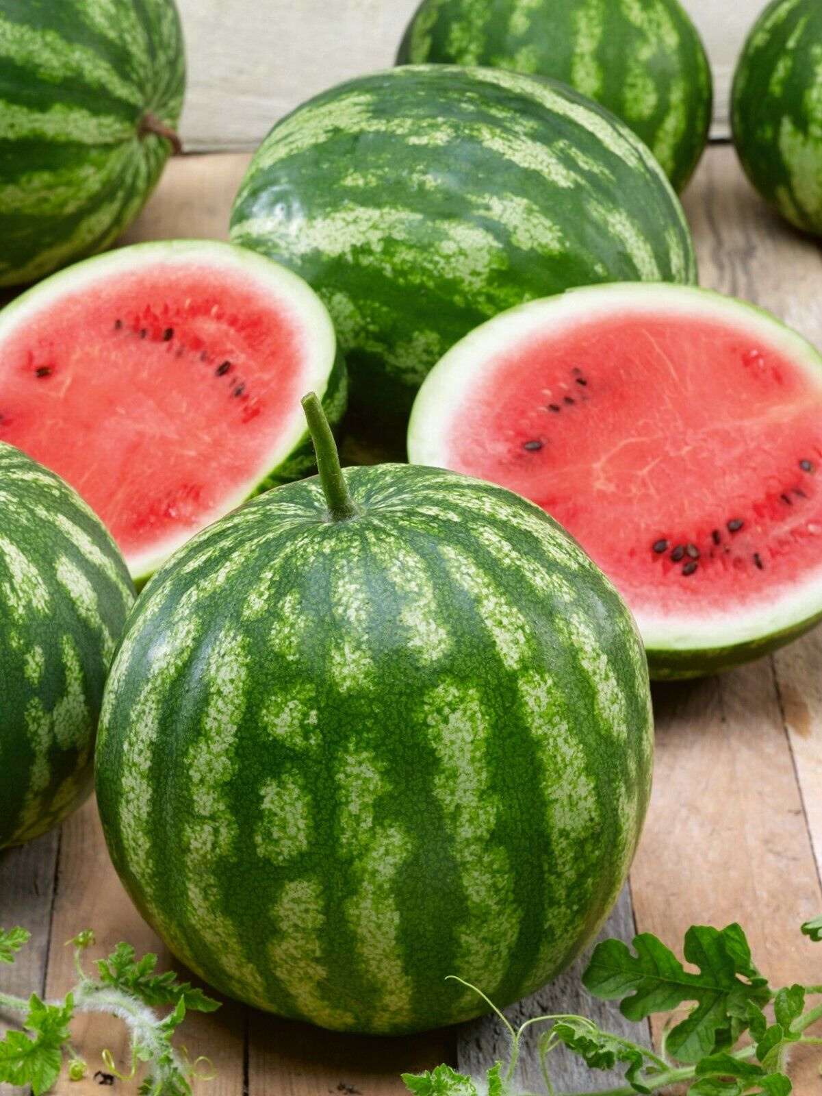 Bush Cal Sweet Watermelon Seeds 25 thru 300 Seeds