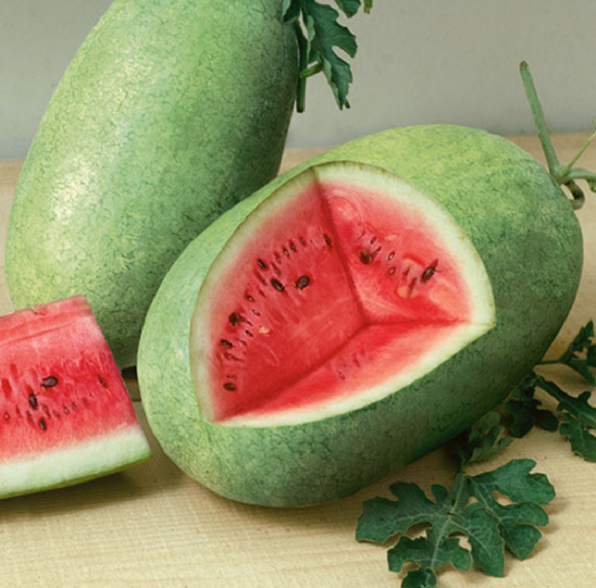 Watermelon Seeds 25 thru 200 Seeds Sweet Princess Watermelon Seeds